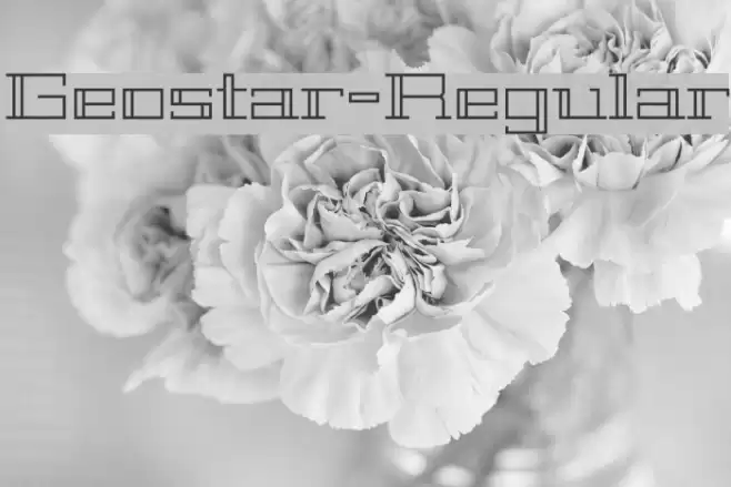 Geostar-Regular خط examples