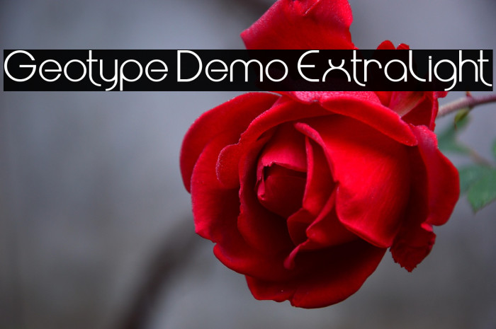 Geotype Demo ExtraLight Example 2