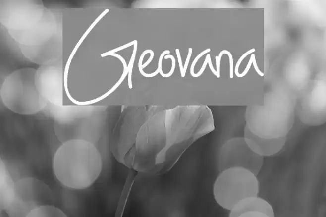 Geovana Font examples