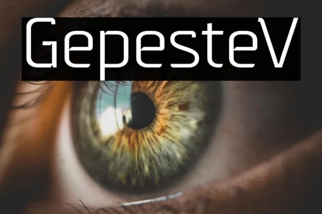 GepesteV Example 2