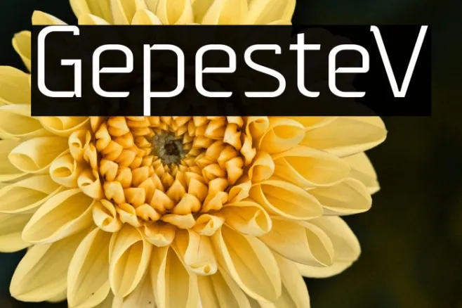 GepesteV Example 3