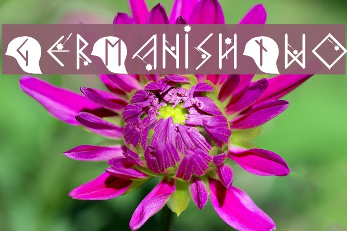 GerManishTwo Font examples