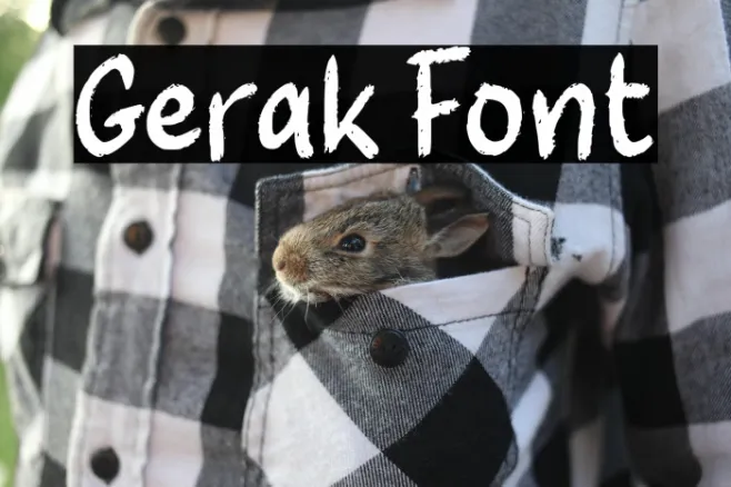 Gerak Example 2