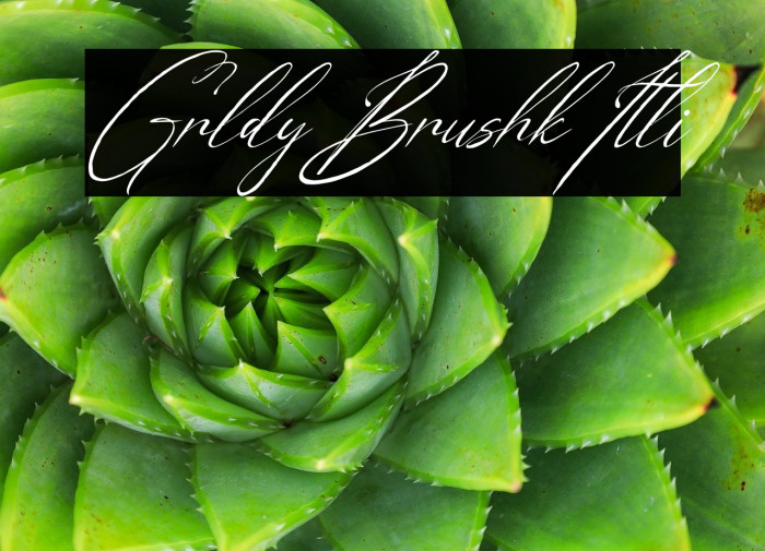 Geraldyn Brushko Italic Example 1