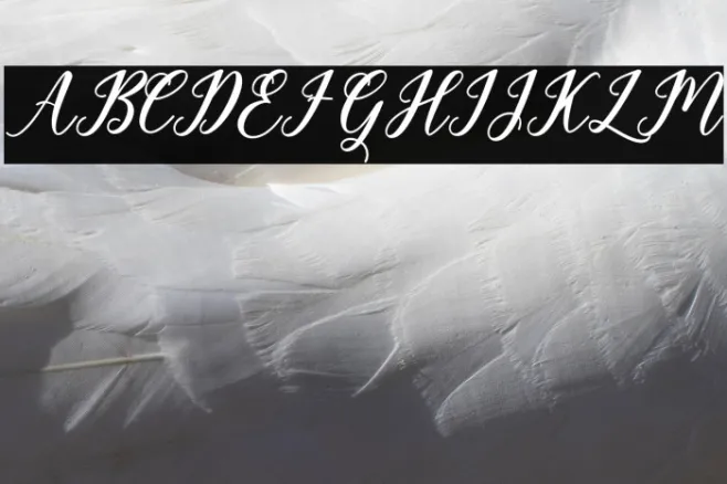 Geralyn Example 3