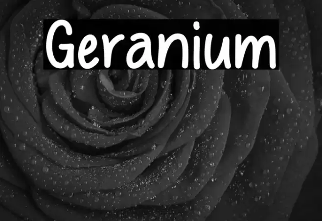 Geranium Font examples