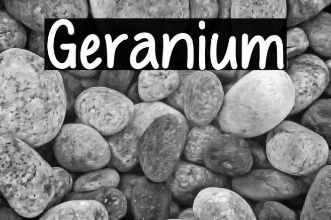 Geranium Font examples