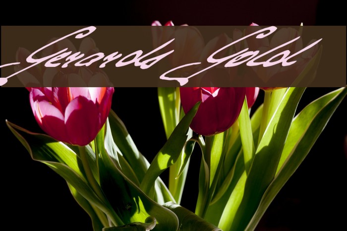 Gerards Gold Example 2