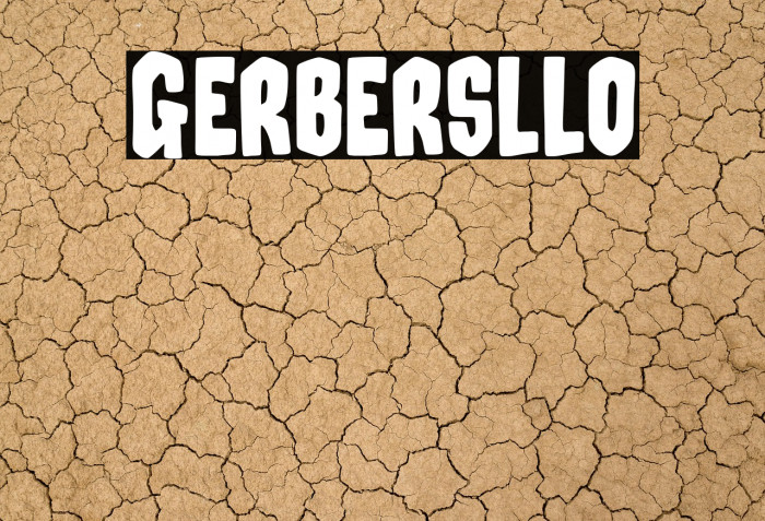 Gerbersllo Example 2