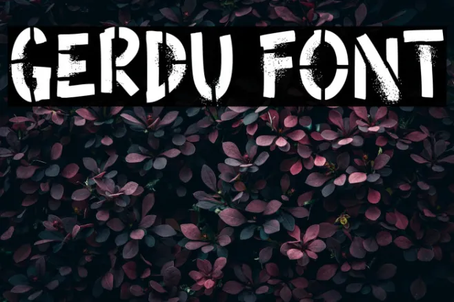 Gerdu Example 1