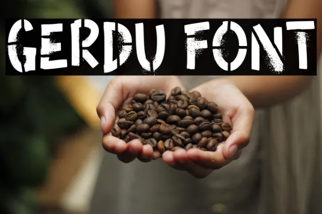 Gerdu Example 2