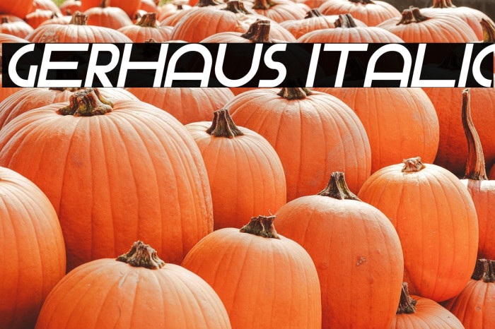 Gerhaus Italic Example 1