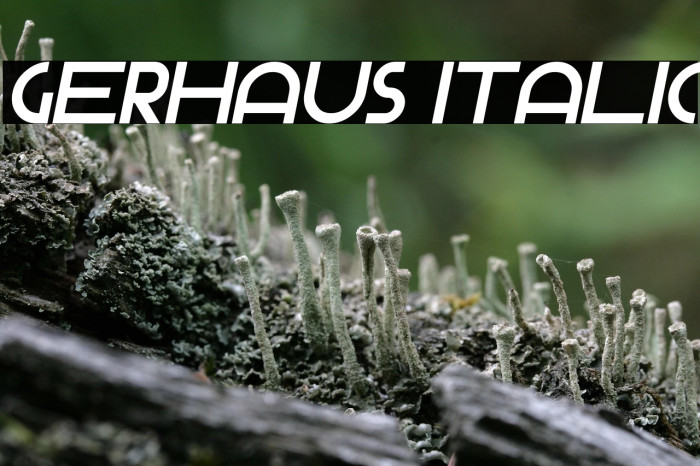 Gerhaus Italic Example 2