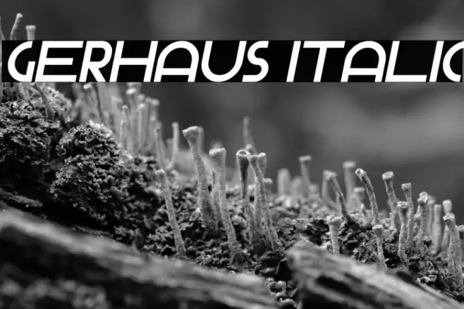 Gerhaus Italic Caratteri examples