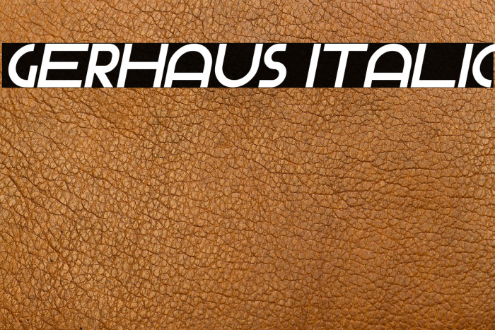 Gerhaus Italic Example 3