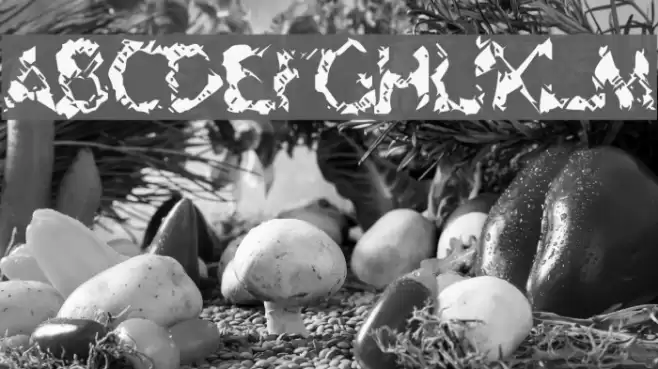 Geriatric Font examples