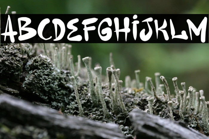 Gerilyaz Demo Example 2