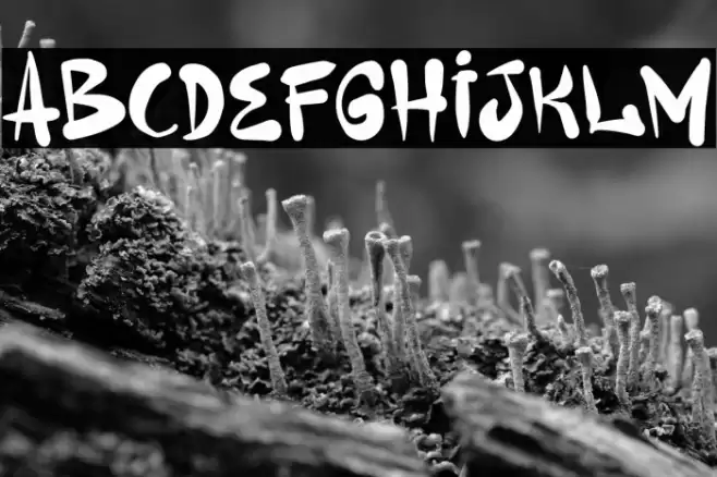 Gerilyaz Demo Schriftart examples