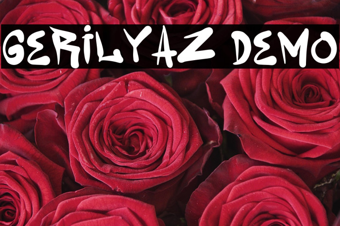 Gerilyaz Demo Example 2