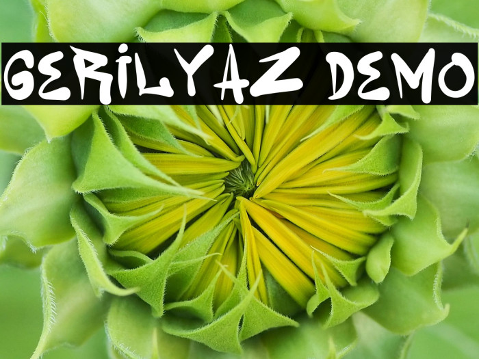 Gerilyaz Demo Example 3