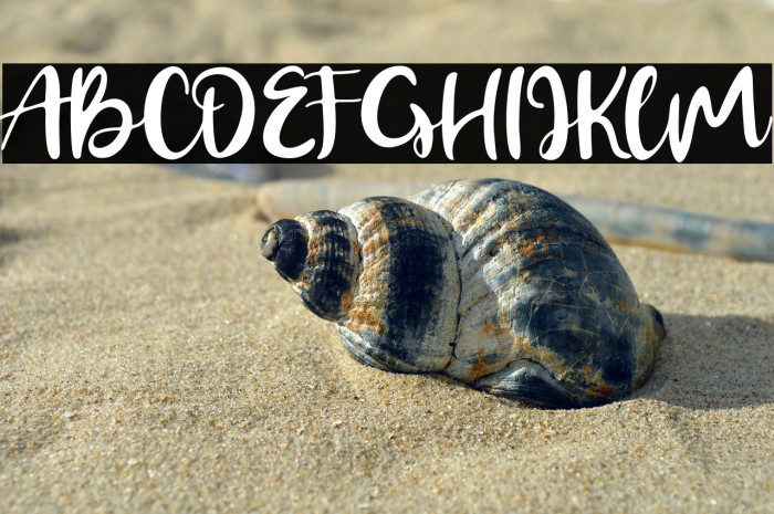 Gerimist Base Example 1