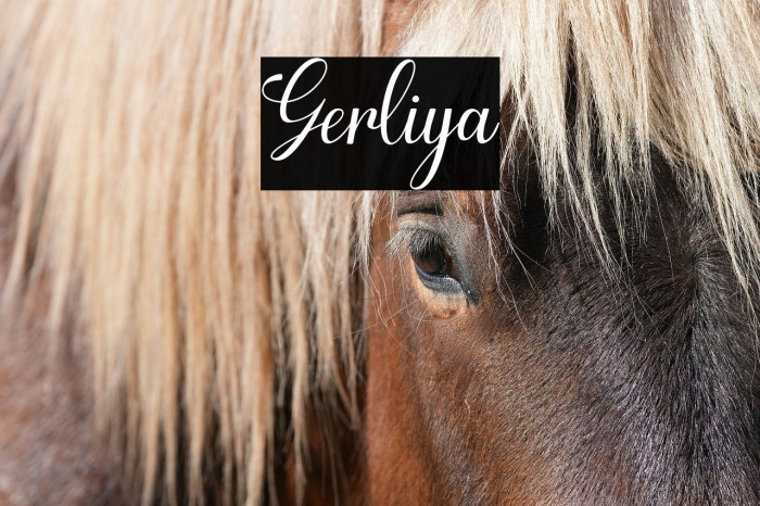 Gerliya Example 2