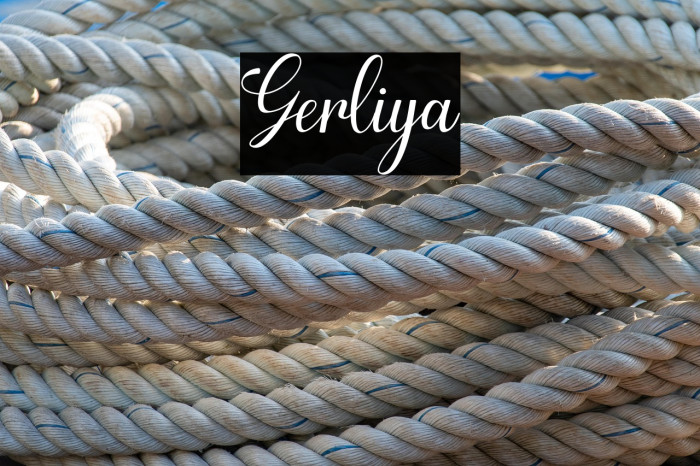 Gerliya Example 3