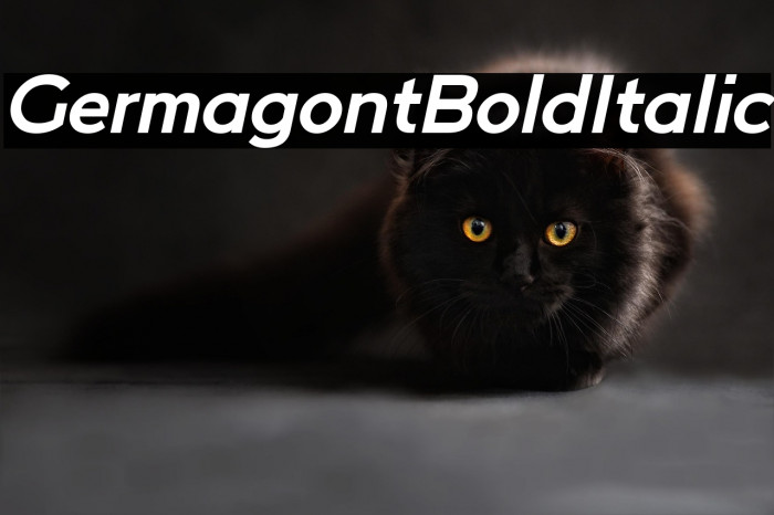 Germagont Bold Italic Example 3