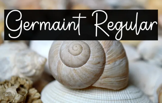 Germaint Regular Example 3