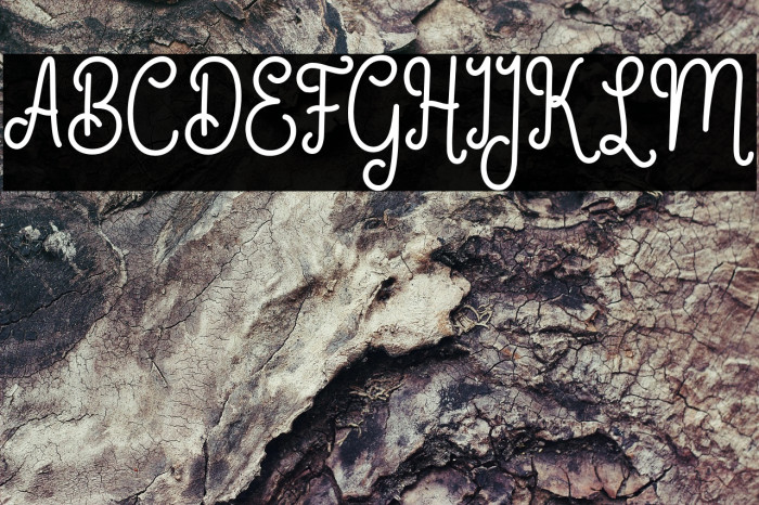 GermalyScriptDEMO-Regular Example 2