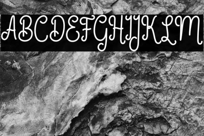 GermalyScriptDEMO-Regular Font examples