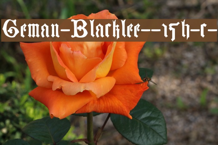 German-Blackletters--15th-c- Font examples