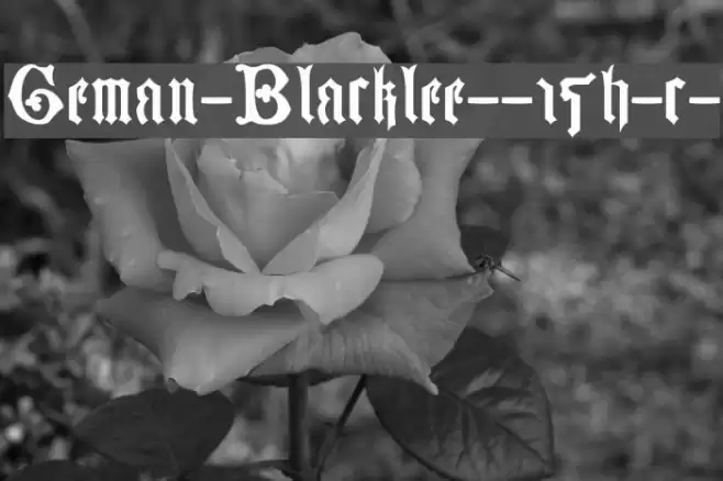 German-Blackletters--15th-c- Caratteri examples