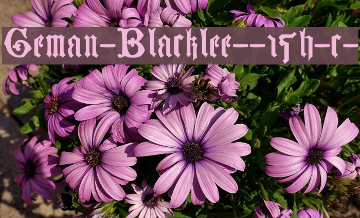 German-Blackletters--15th-c- Font examples