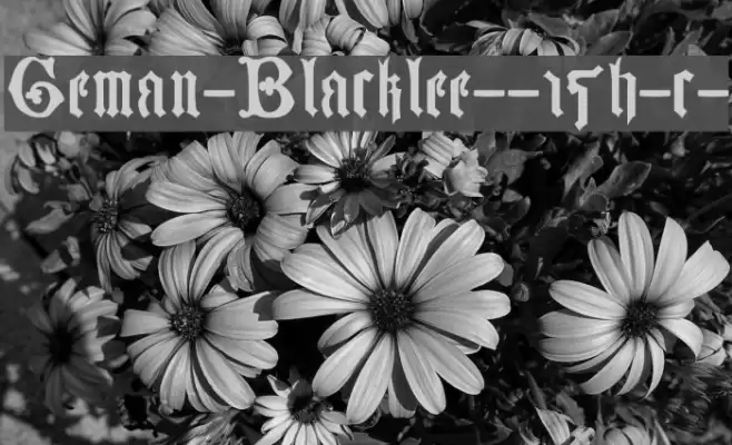 German-Blackletters--15th-c- Caratteri examples