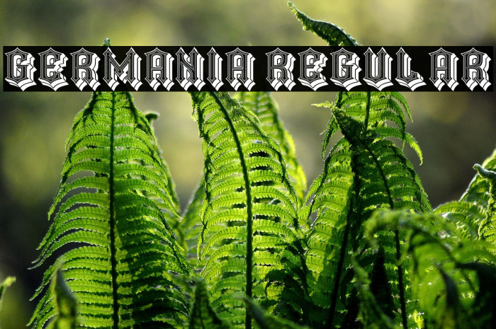 Germania Regular Example 1