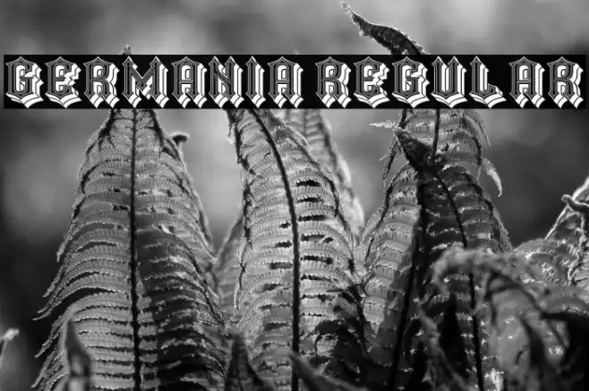 Germania Regular Font examples