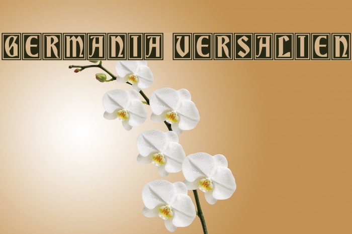 Germania Versalien Example 2
