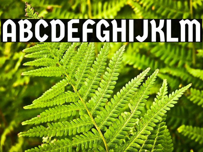 GermaniaOne Regular خط examples