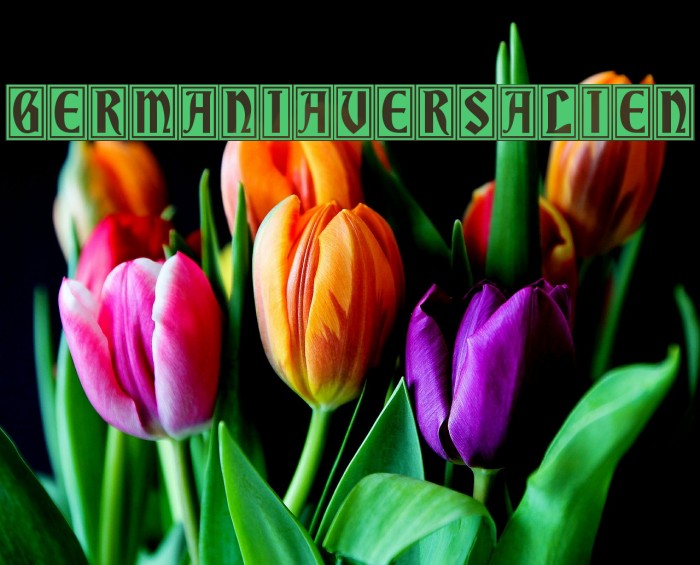 GermaniaVersalien Font examples