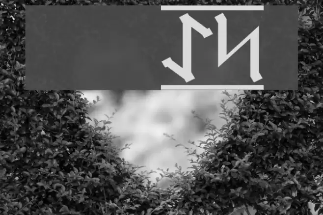 Germanic Runes 1 Font examples