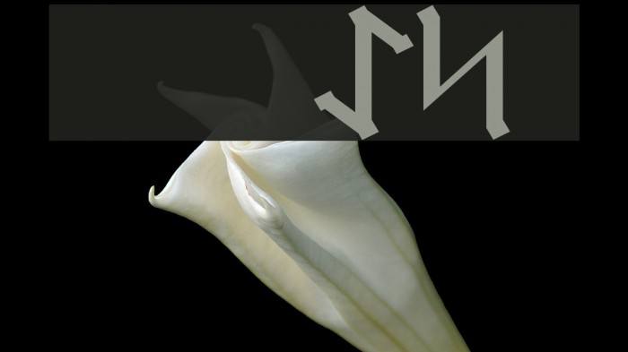 Germanic Runes Font examples
