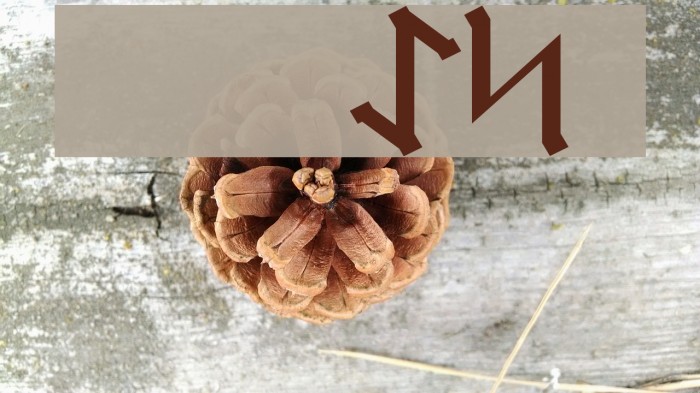 Germanic Runes Font examples