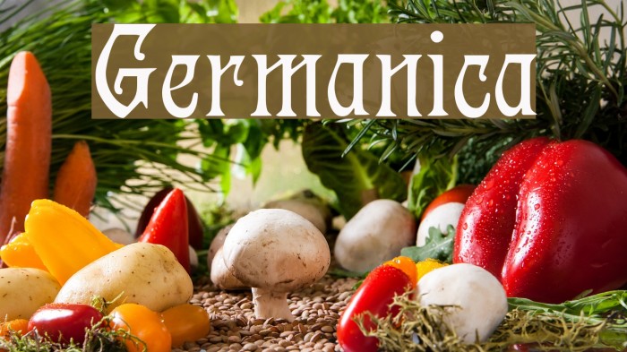Germanica Example 2