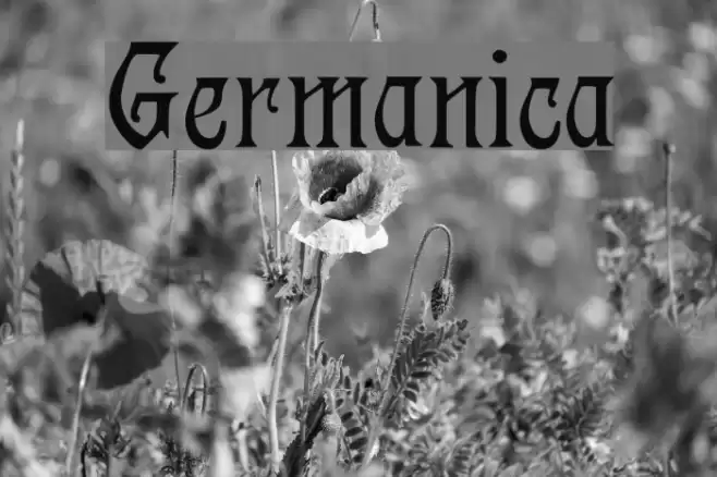 Germanica Font examples