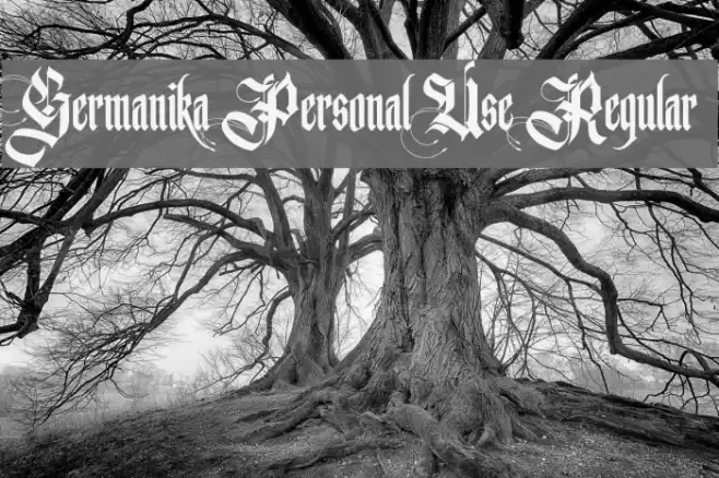 Germanika Personal Use Regular Font examples