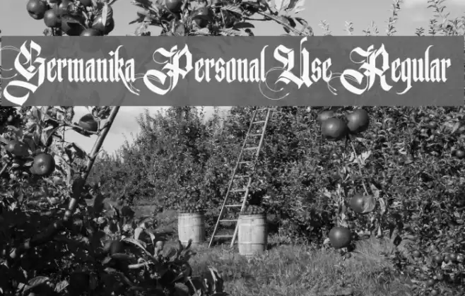 Germanika Personal Use Regular Font examples