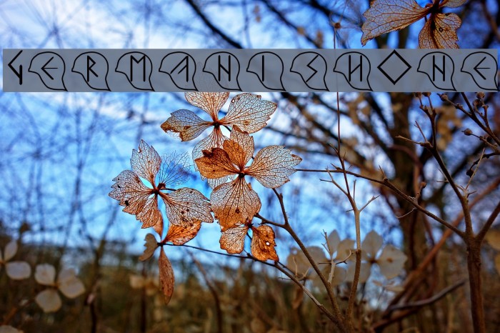 GermanishOne フォント examples