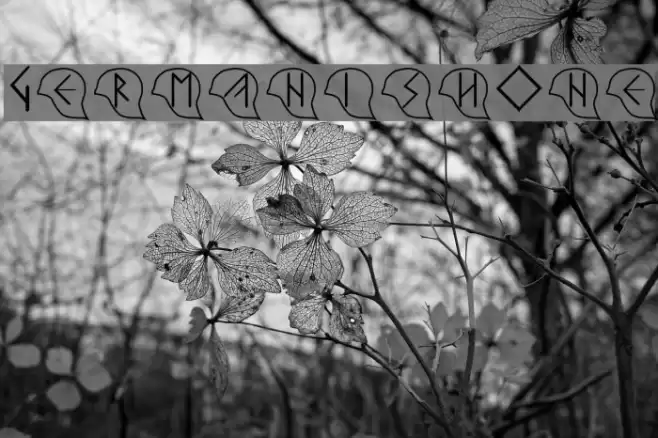 GermanishOne Font examples