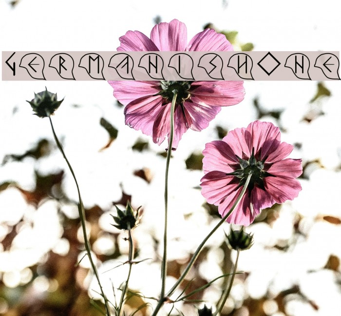GermanishOne フォント examples